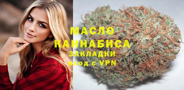 крисы Няндома